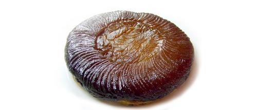 タルトタタン / Tarte Tatin